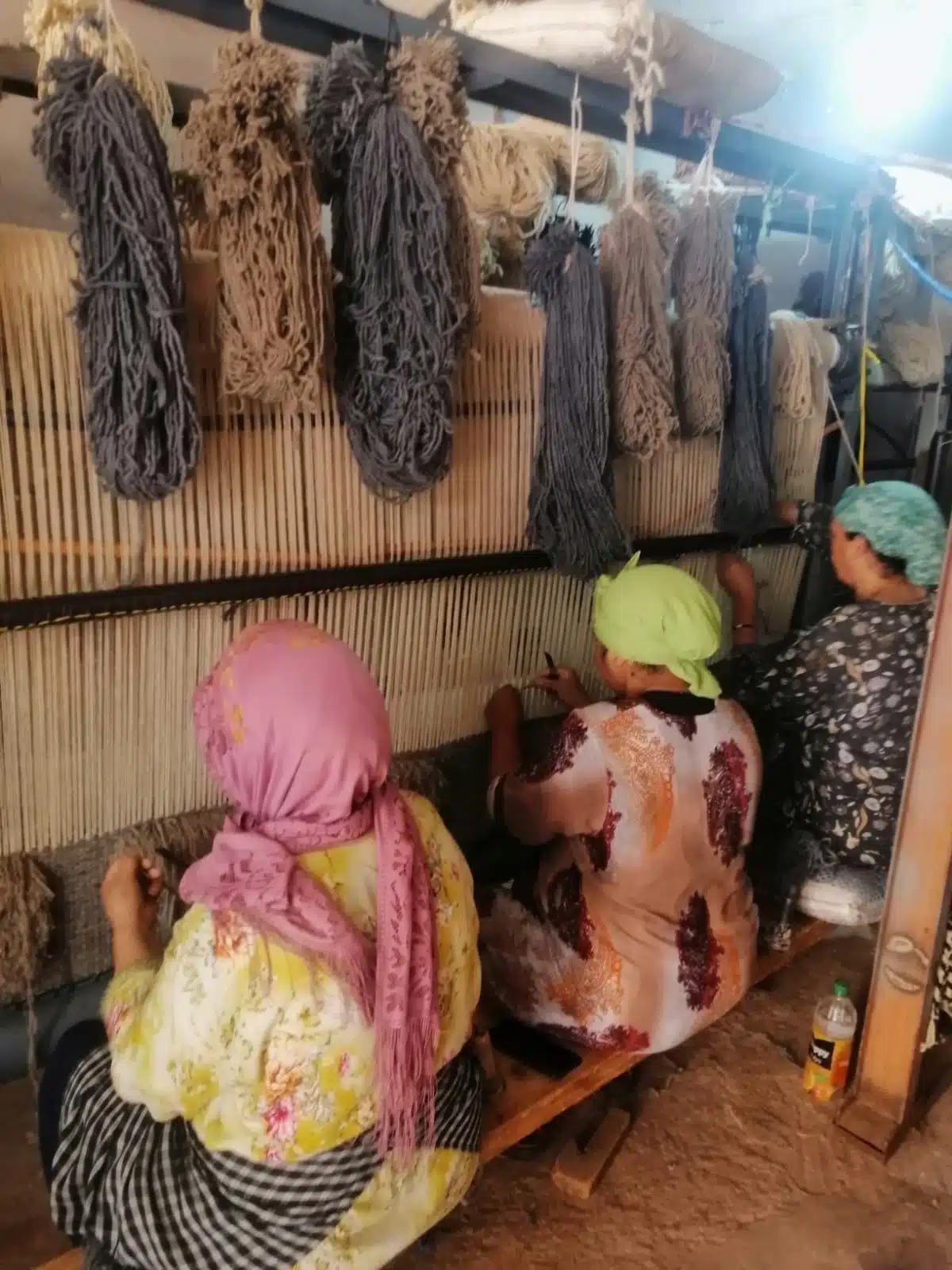 d68943a0-1f10-491d-80d1-34683a391750